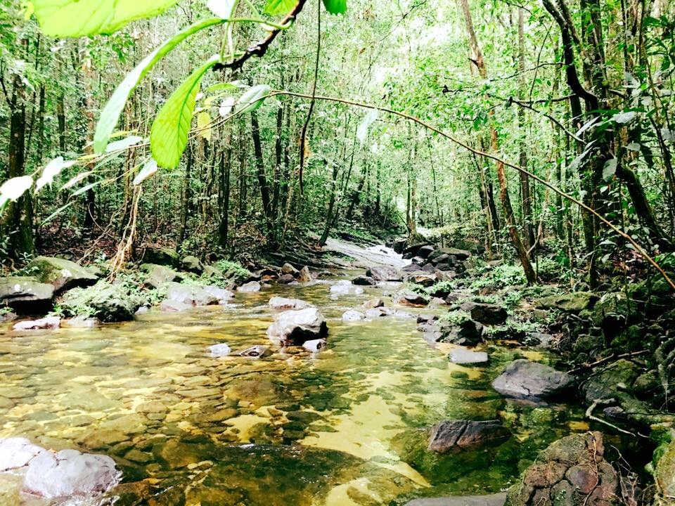 Makandawa Rainforest